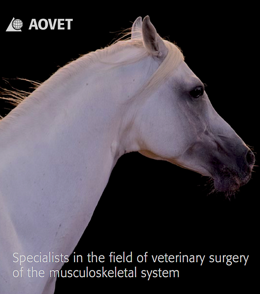 AOVET: global network of specialists in orthopedic surgery