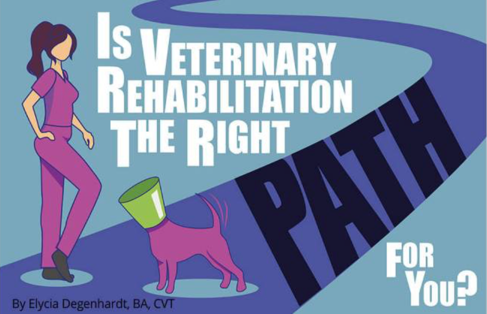 Is Veterinary Rehabilitation For You?