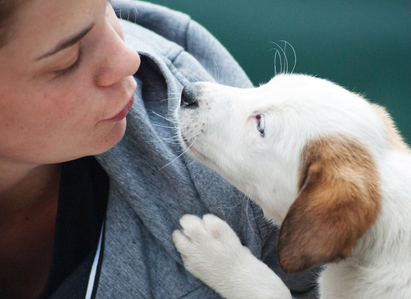 Love, Actually: How a Tiny Peptide Drives Passion for Dogs