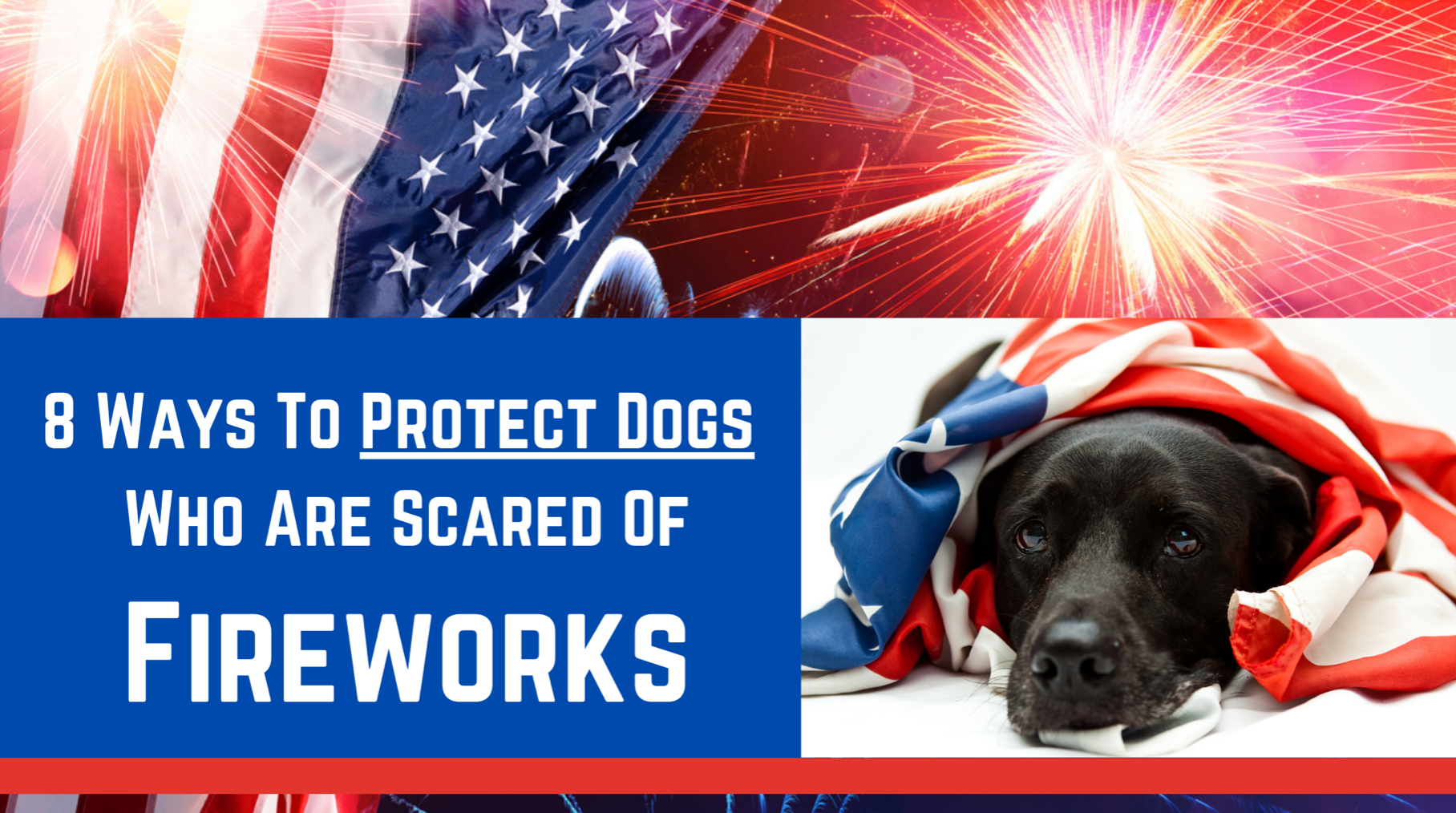 8 Ways To Protect Dogs Who Are Scared Of Fireworks