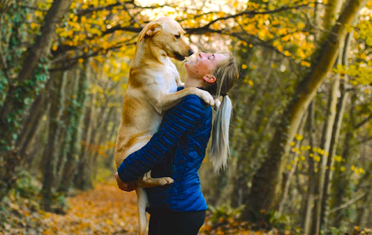 Trigger Point Therapy: Keeping Dogs Active and Pain Free