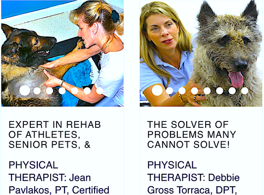 Virtual Consults for Pets - Rehab, Conditioning, and Mobility Issues