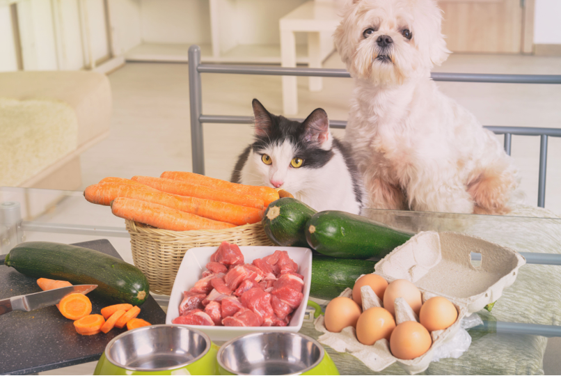 What You Need to Know About Today’s Veterinary Diet Trends
