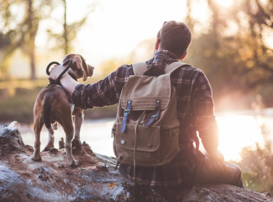 6 Tips For Practicing Social Distancing When You Walk Your Dog