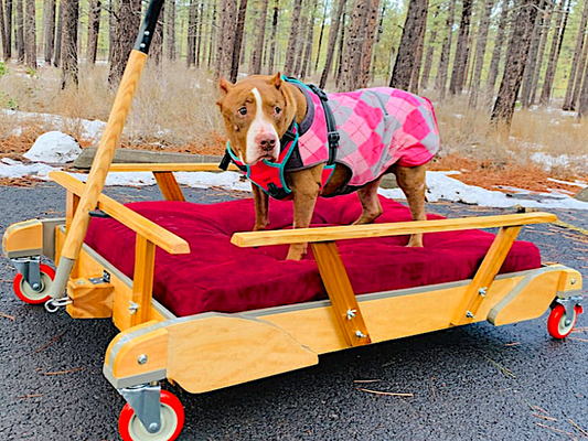 wagons for dogs, senior dogs, handicapped pets, vital vet