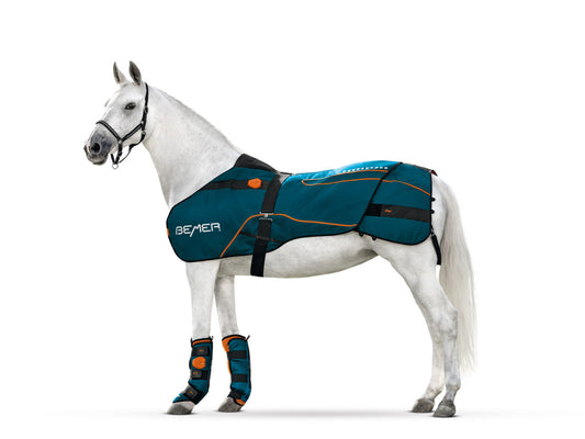 BEMER Equine Therapy System