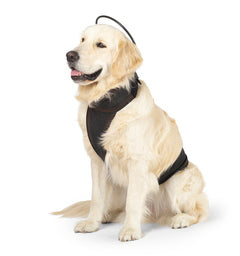 Assisi Calmer Canine® Anxiety Treatment System - Vital Vet