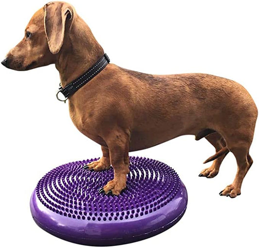 DEZAL 14" Balance Disc for Dogs