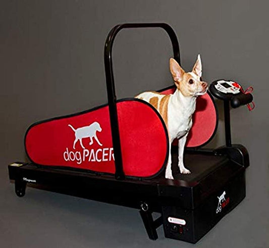 dogPACER MiniPACER Dog Treadmill