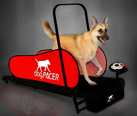 dogPACER Dog Treadmill