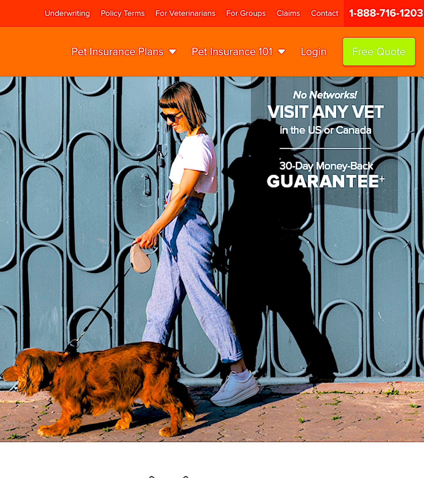 ASPCA PET INSURANCE: no networks, visit any vet in US or Canada - Vital Vet