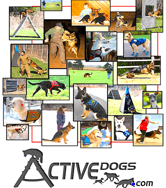 ACTIVE DOG: equipment and gear for service dogs and athletes - Vital Vet