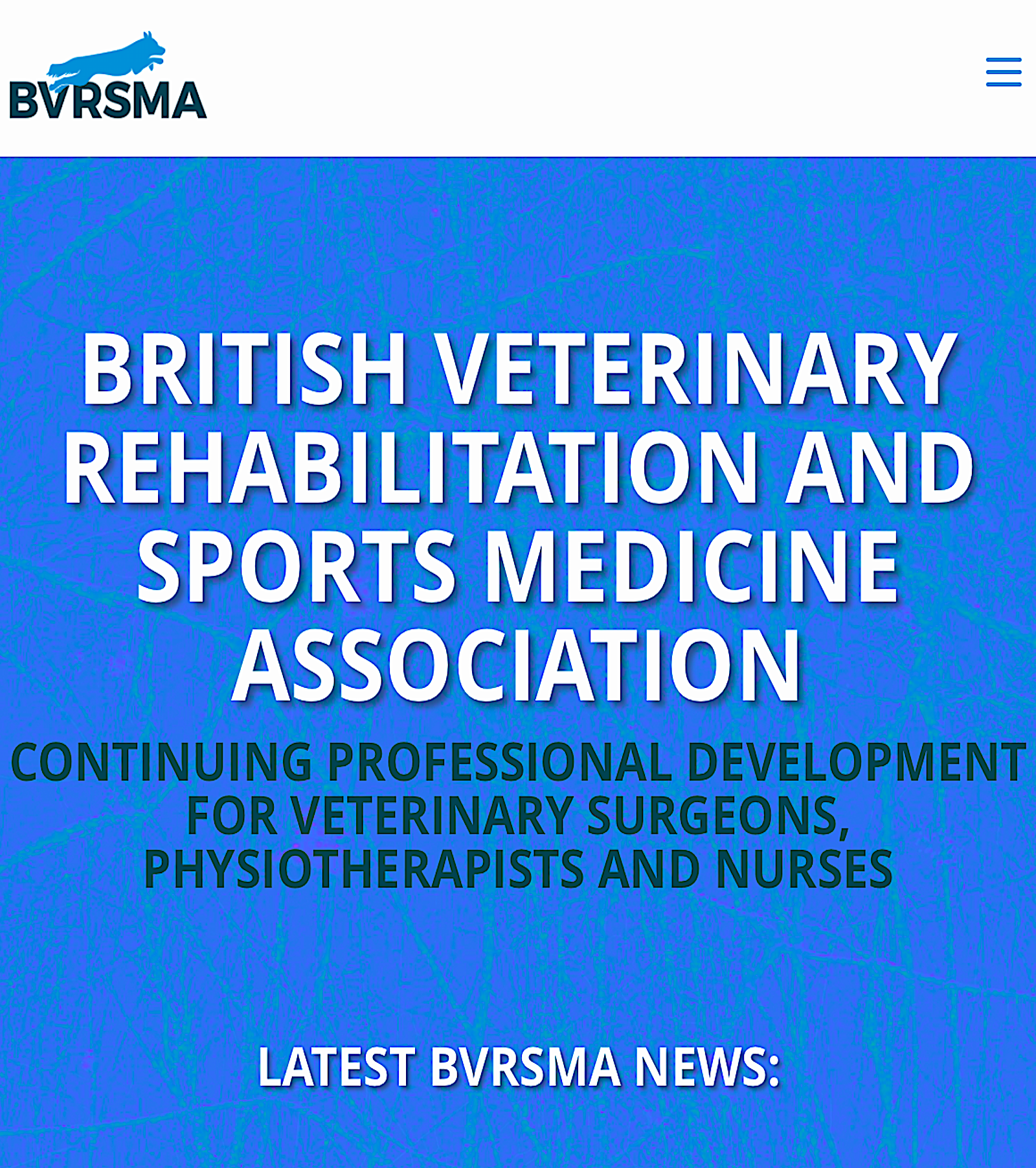BRITISH VETERINARY REHABILITATION AND SPORTS MEDICINE ASSOCIATION - Vital Vet