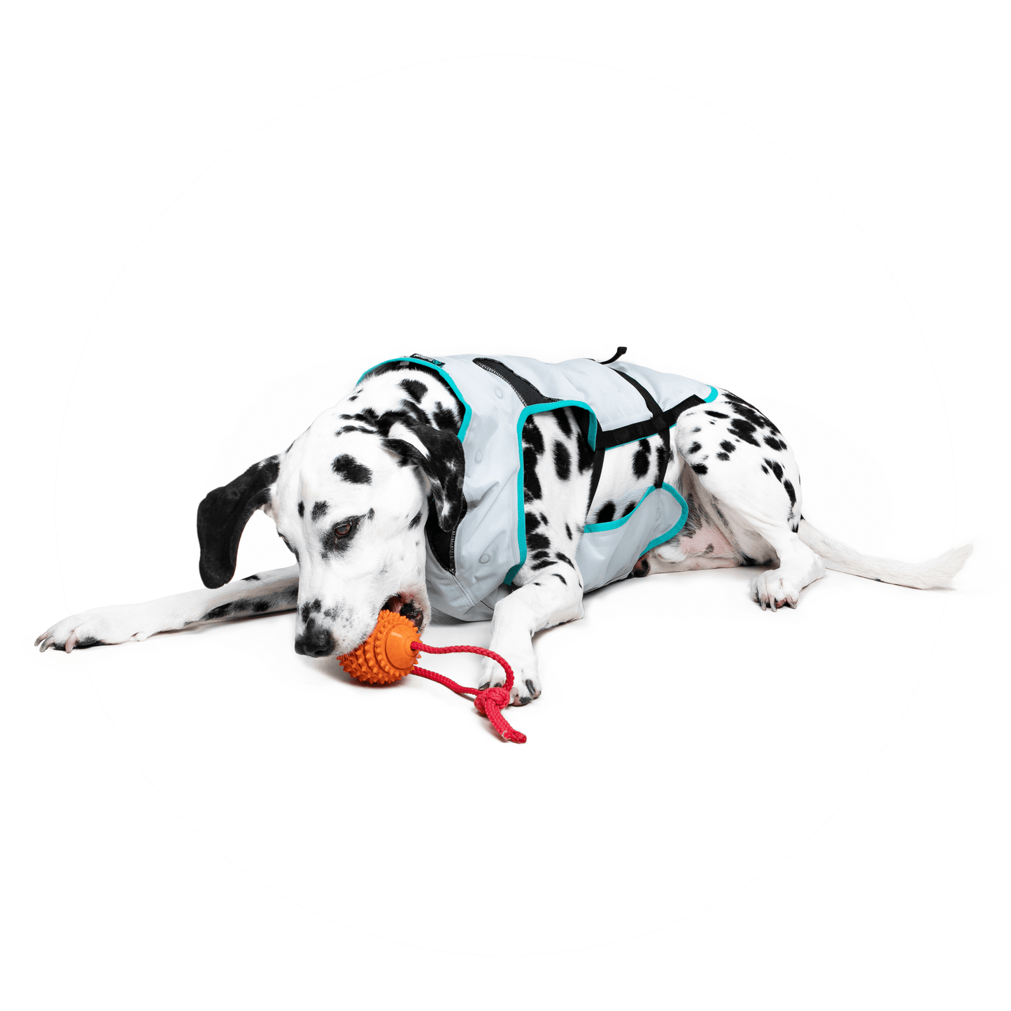 Suitical DRY® Cooling Vest for Dogs - Vital Vet