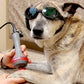 Companion Animal Health® Laser Therapy Series - Vital Vet