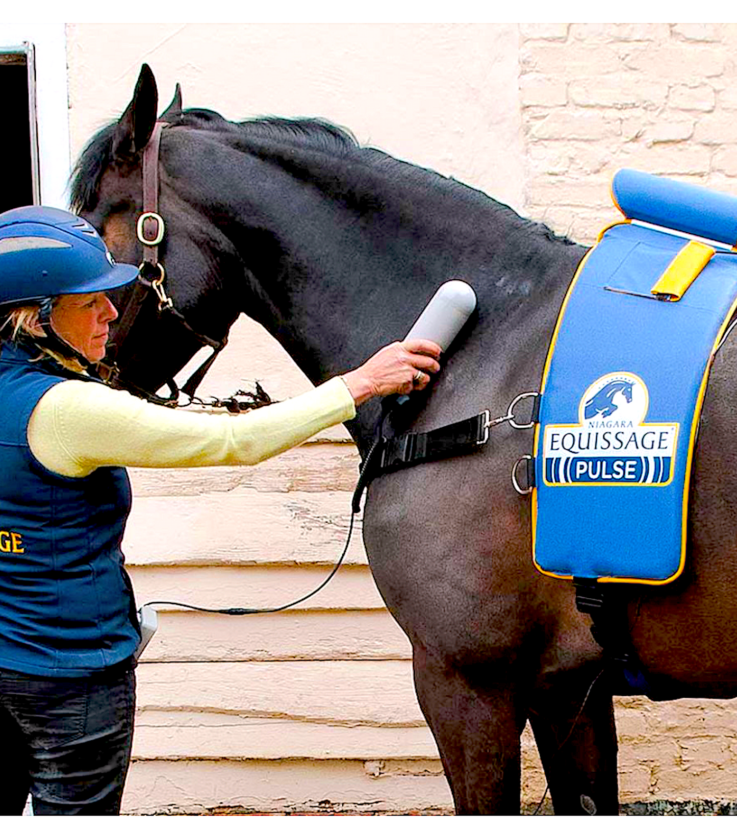 EQUISSAGE VIBRATION MASSAGE: cycloid massage therapy for equine athletes - Vital Vet