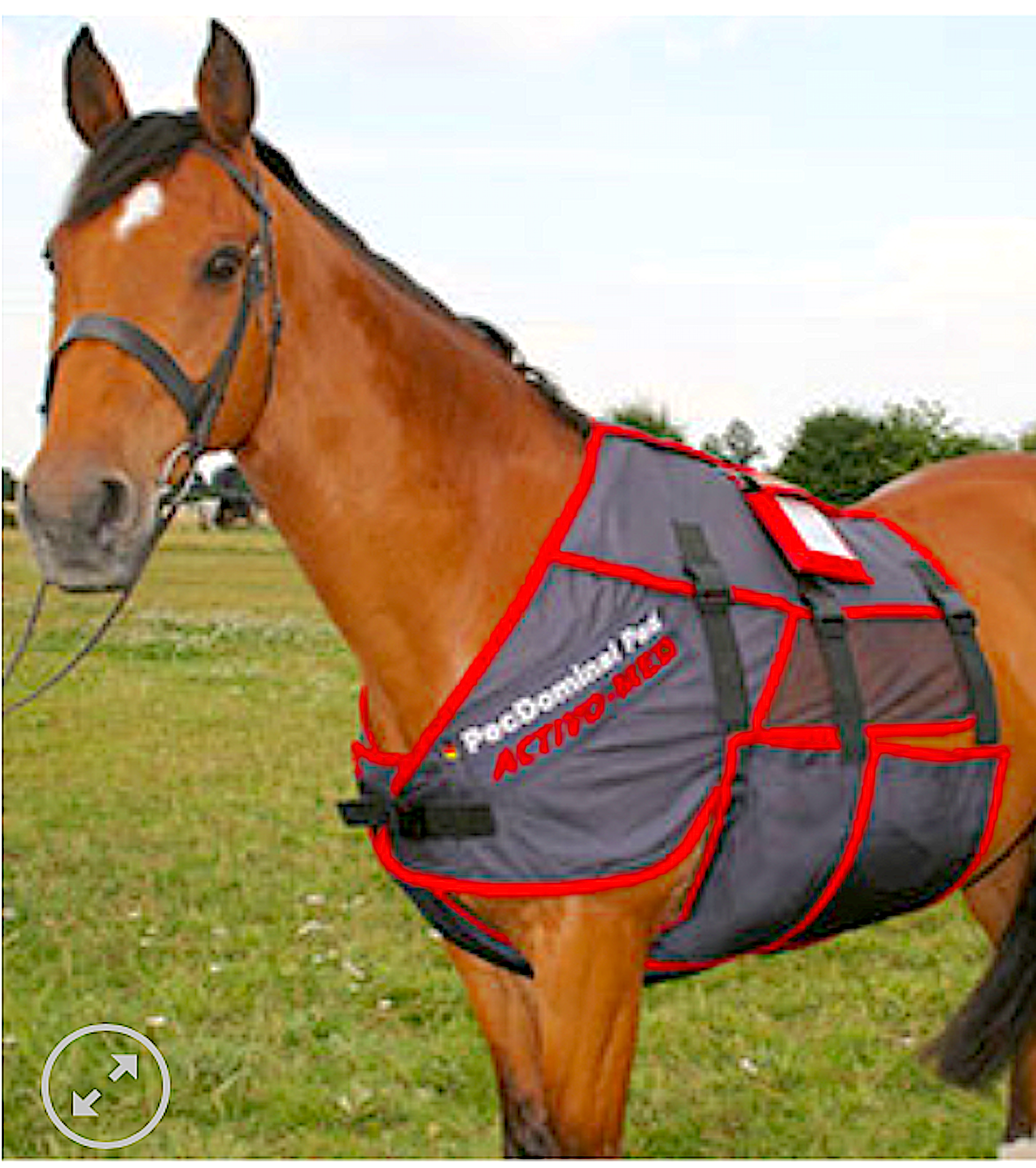 FMBS THERAPY SYSTEMS-UK: providing leading technical products for horses - Vital Vet