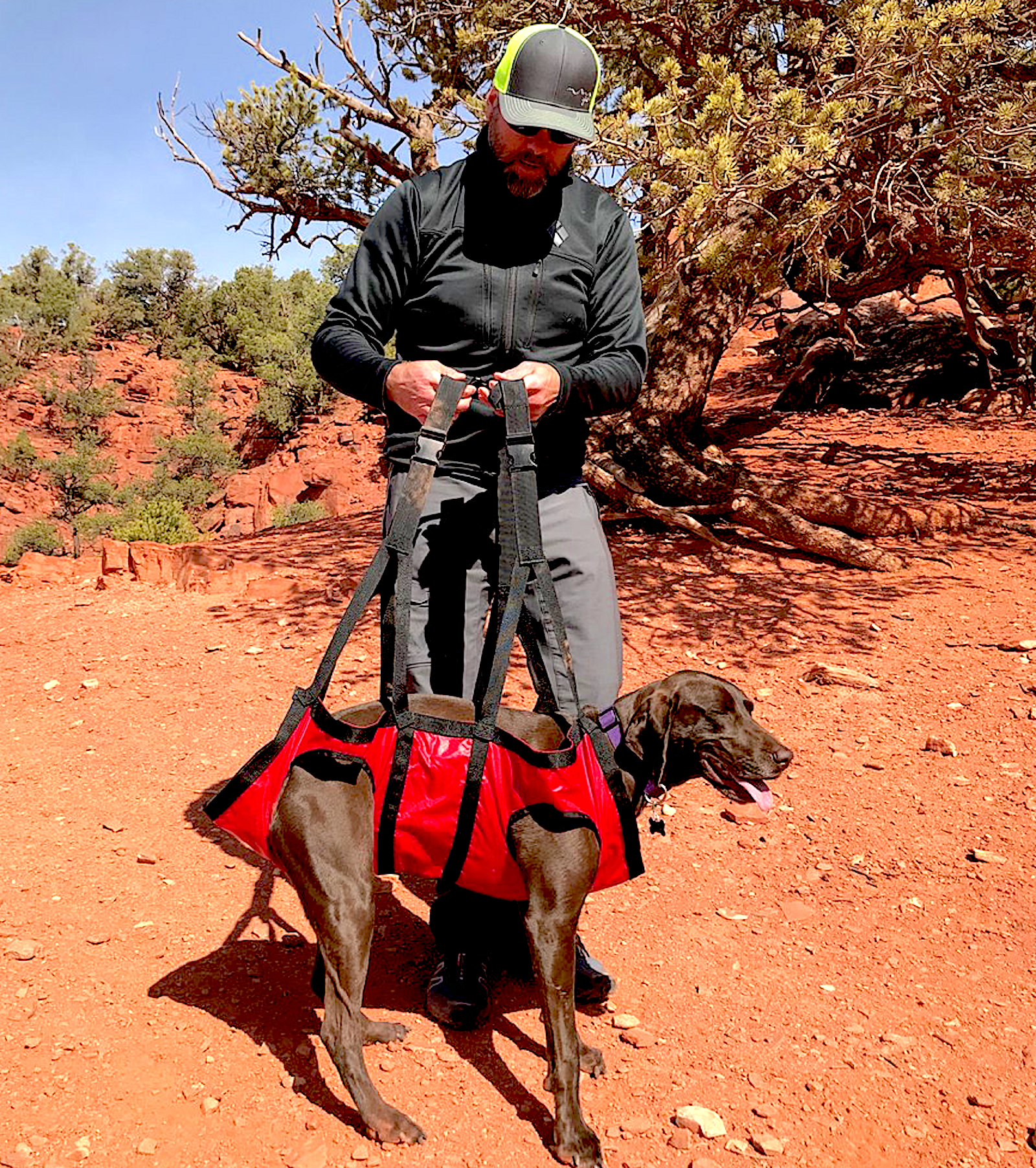 FIDO PRO AIRLIFT: hammock-style backpack to easily lift and carry your canine friend - Vital Vet