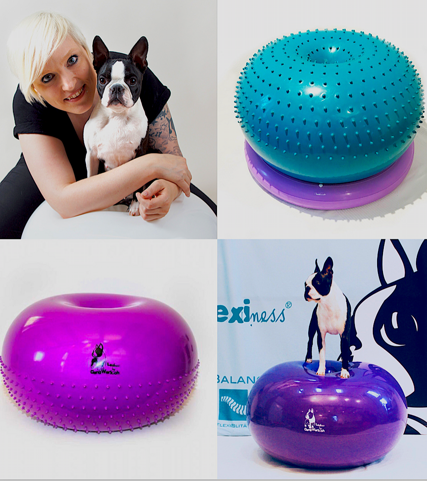 FLEXINESS FITNESS-SWISS: innovative therapy and exercise products - Vital Vet