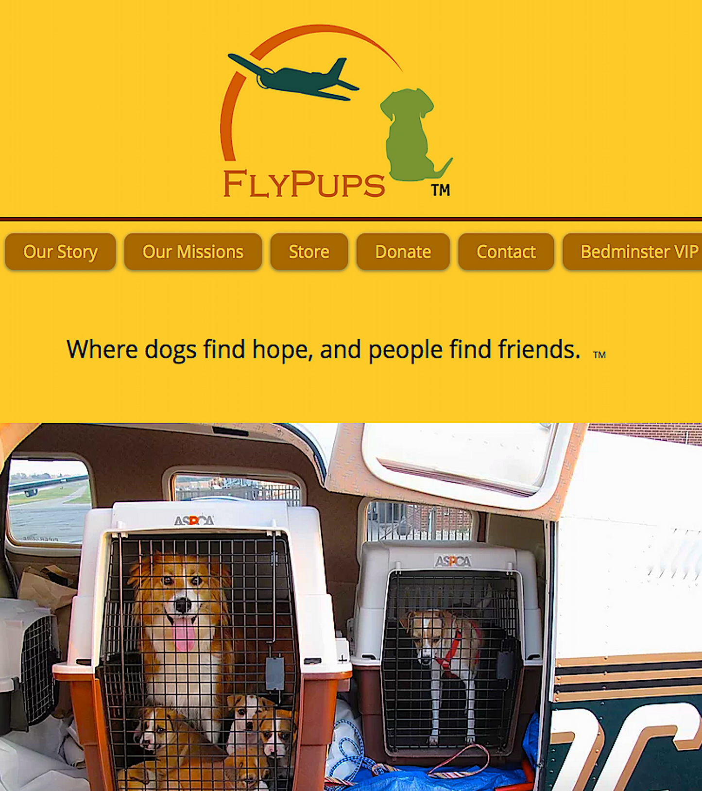 FLYPUPS: transporting dogs away from desperate situations to safe environments