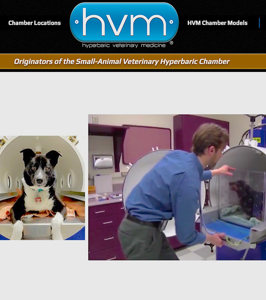 HYPERBARIC VETERINARY MEDICINE: originators of small animal vet hyperbaric chamber