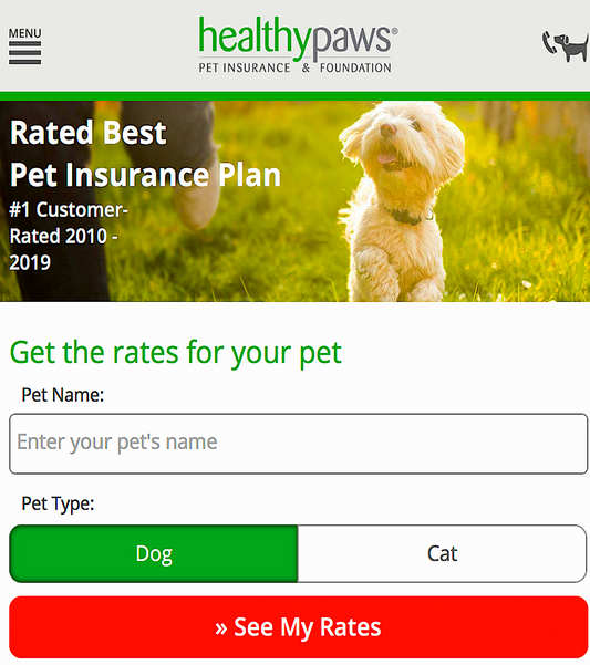 HEALTHY PAWS PET INSURANCE: for the best medical care possible - Vital Vet