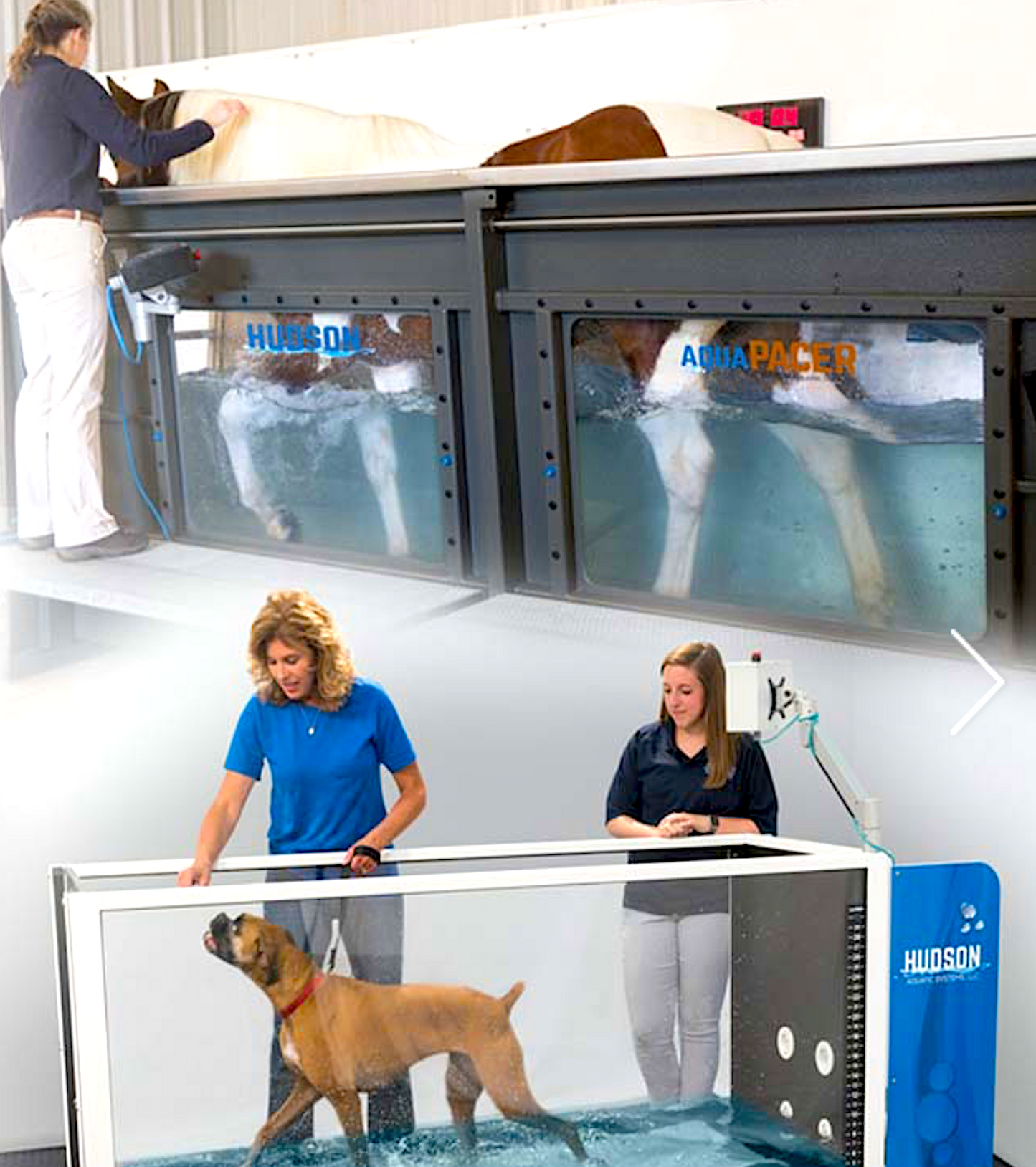 HUDSON AQUATICS: water treadmills and pools for canines and equines - Vital Vet