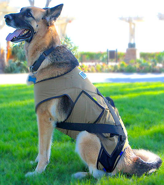 K9 ALIGN: body garment to help stabilize hips and improve mobility - Vital Vet