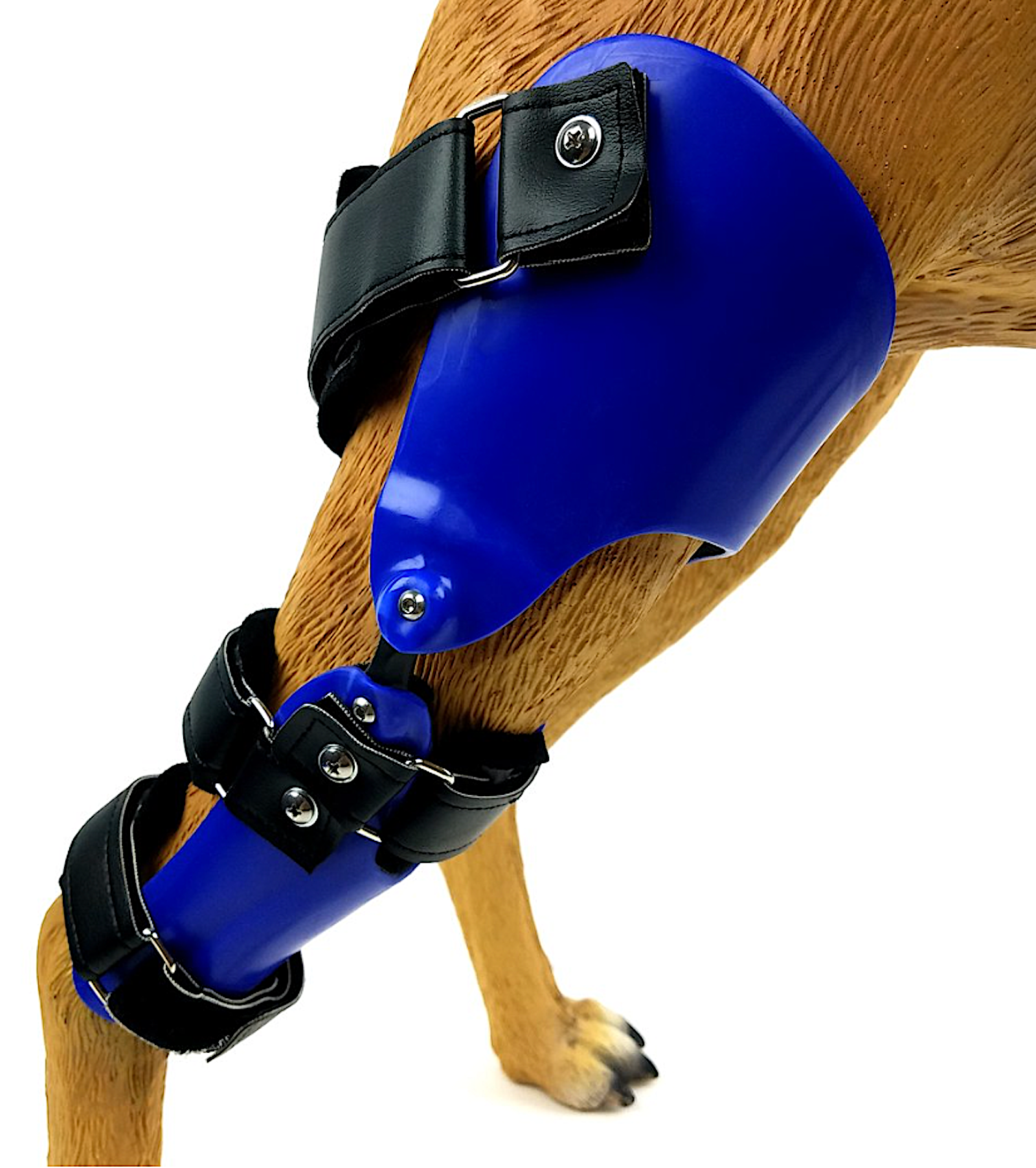 KVP ORTHOTICS: custom leg orthotics specifically designed for your pet - Vital Vet