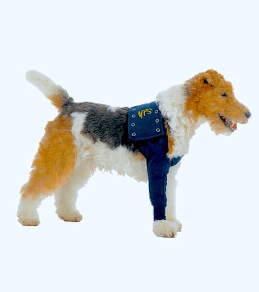 MEDICAL PET SLEEVES: protect front legs with wounds, ulcers, allergies, and other skin conditions - Vital Vet