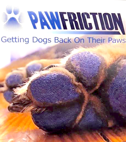 PAW FRICTION PAD TRACTION COATING - Vital Vet