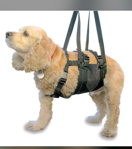 PET SUPPORT HARNESS SUIT: heavy-duty lifting system for injured or disabled pets - Vital Vet