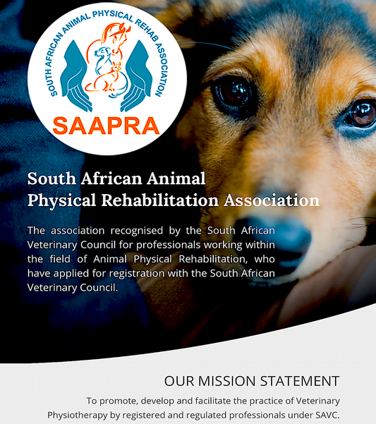 SOUTH AFRICAN ANIMAL PHYSICAL THERAPY ASSOCIATION - Vital Vet