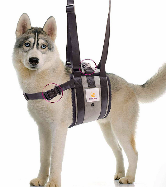 VETERINARIAN-APPROVED SUPPORT SLING