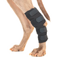 Back on Track® Therapeutic Leg Wraps for Dogs