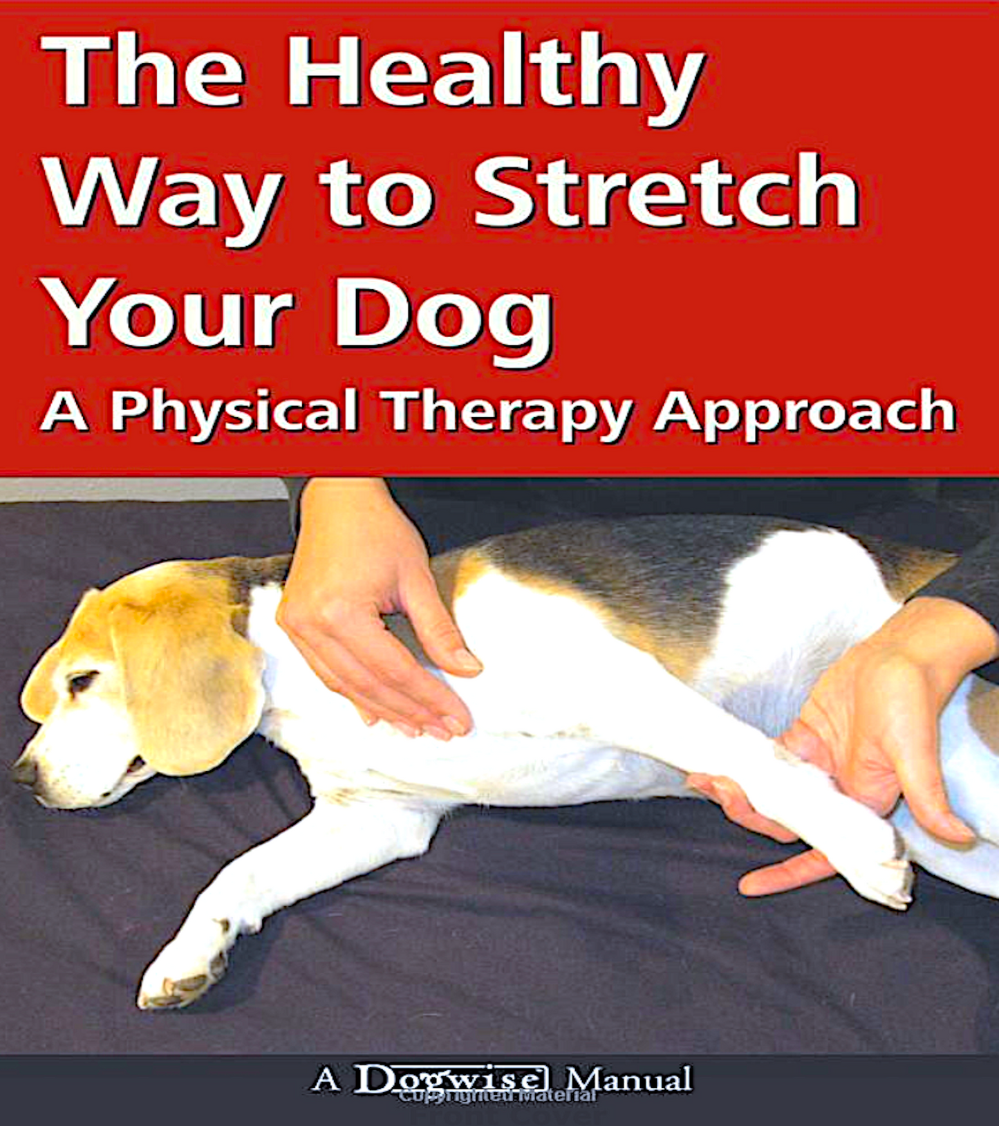 THE HEALTHY WAY TO STRETCH YOUR DOG: a physical therapy approach