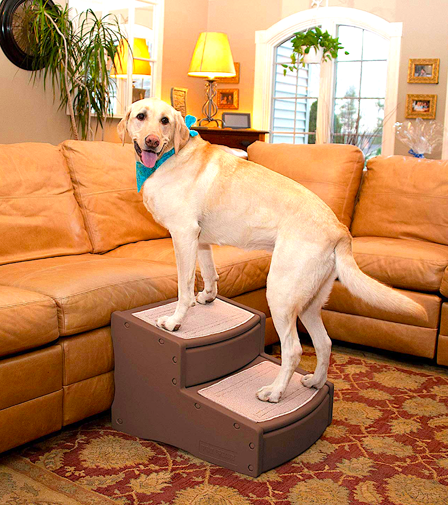 PET GEAR EASY STEP II: extra-wide means extra safe for your pet