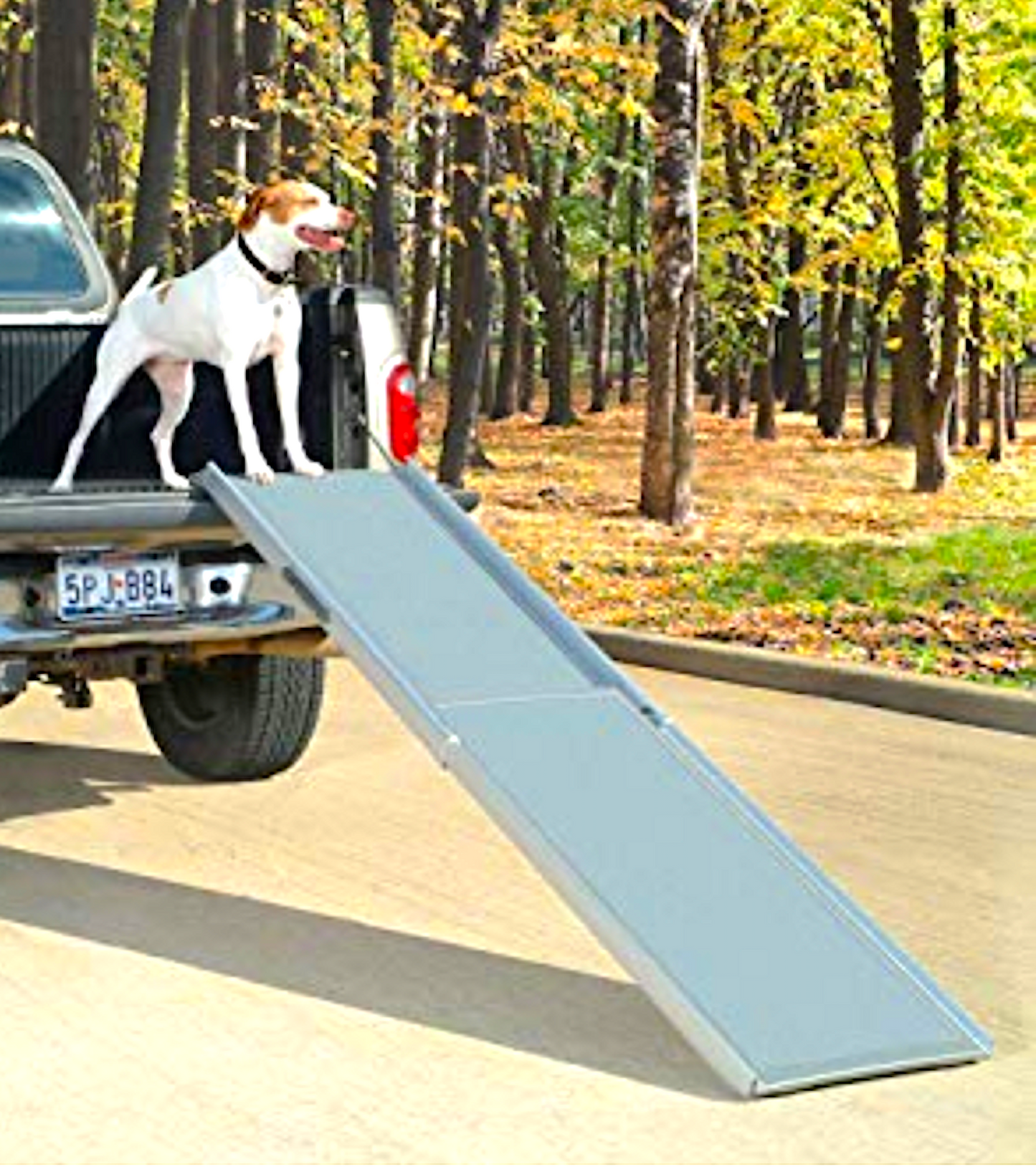PETSAFE HAPPY RIDE TELESCOPING RAMP: portable and durable with high traction surface