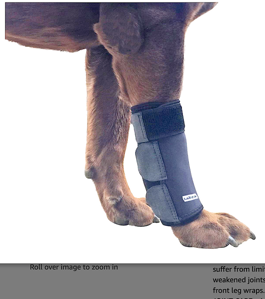 LABRA DOG FRONT LEG BRACE: canine wrist support to help heal and improve comfort - Vital Vet