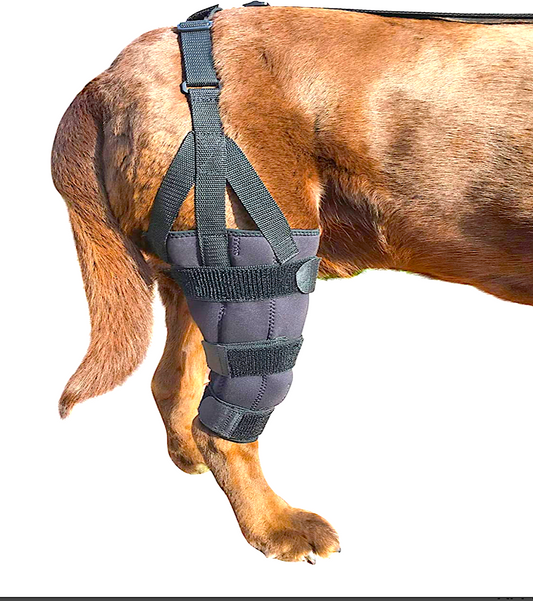 LABRA KNEE BRACE WITH METAL SPLINTS: rigid and hinged splint support system to support your dog's knee - Vital Vet