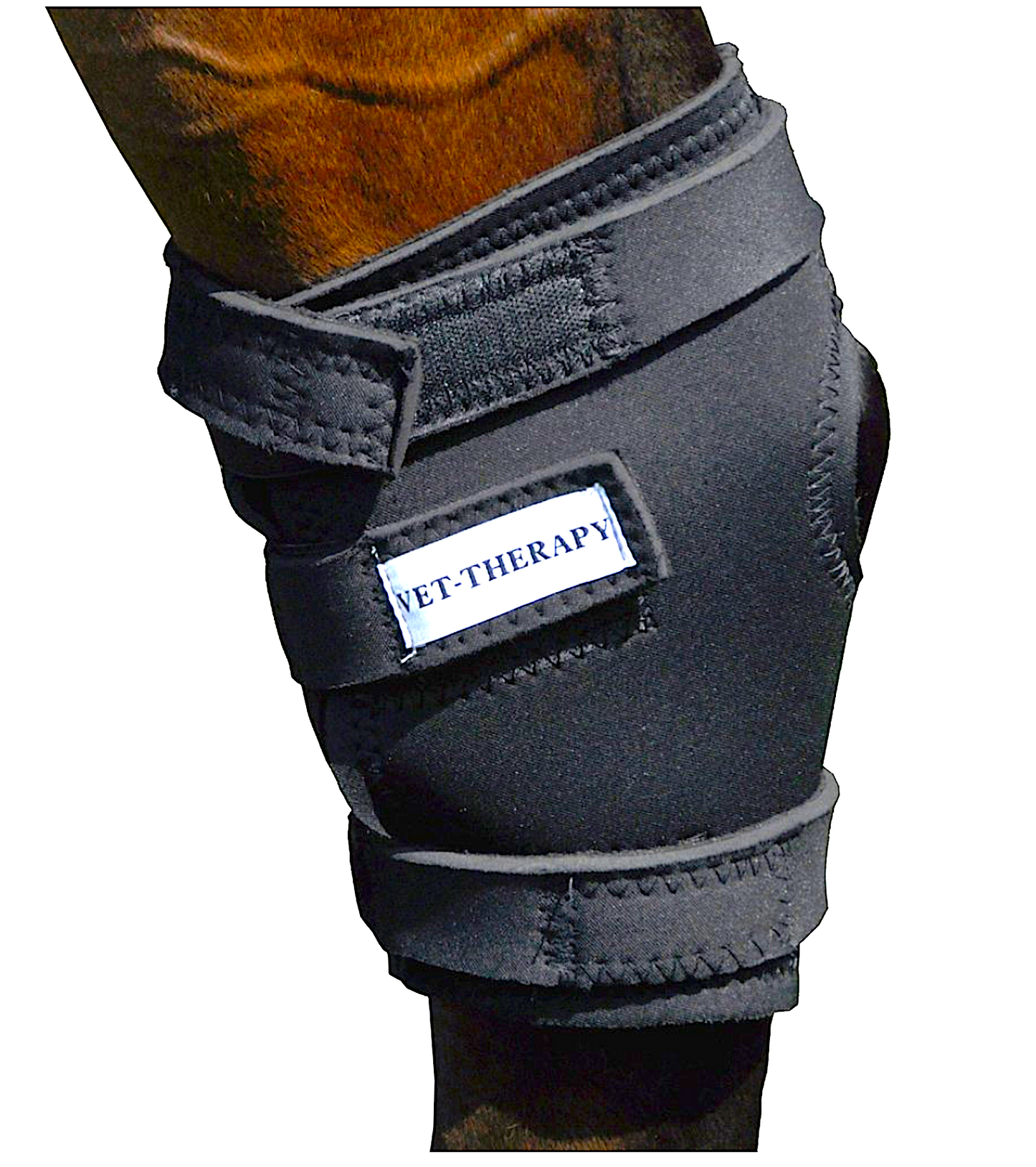 VET THERAPY THERAPEUTIC HOCK SUPPORT: with FIR-far infrared fleece-lined neoprene