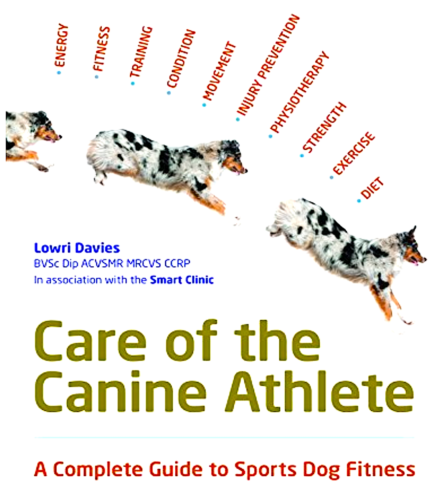Care of the Canine Athlete: A Complete Guide to Sports Dog Fitness by Lowri Davies