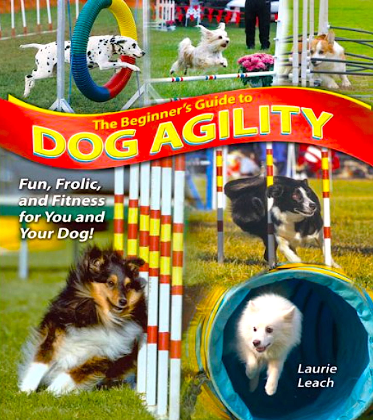 THE BEGINNER'S GUIDE TO DOG AGILITY: everything you need to know