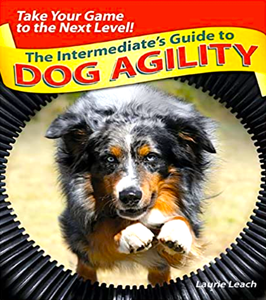 THE INTERMEDIATE'S GUIDE TO DOG AGILITY: everything you need to know