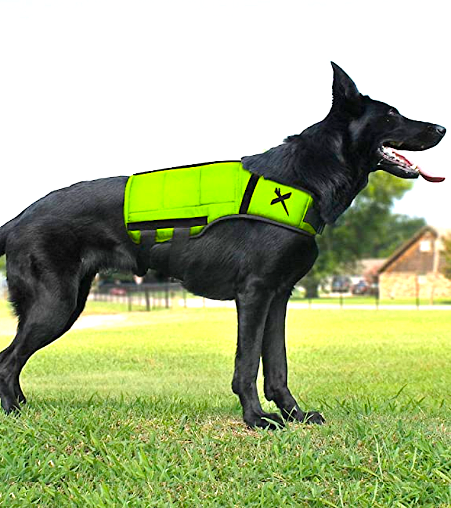 XDOG WEIGHT & FITNESS VEST