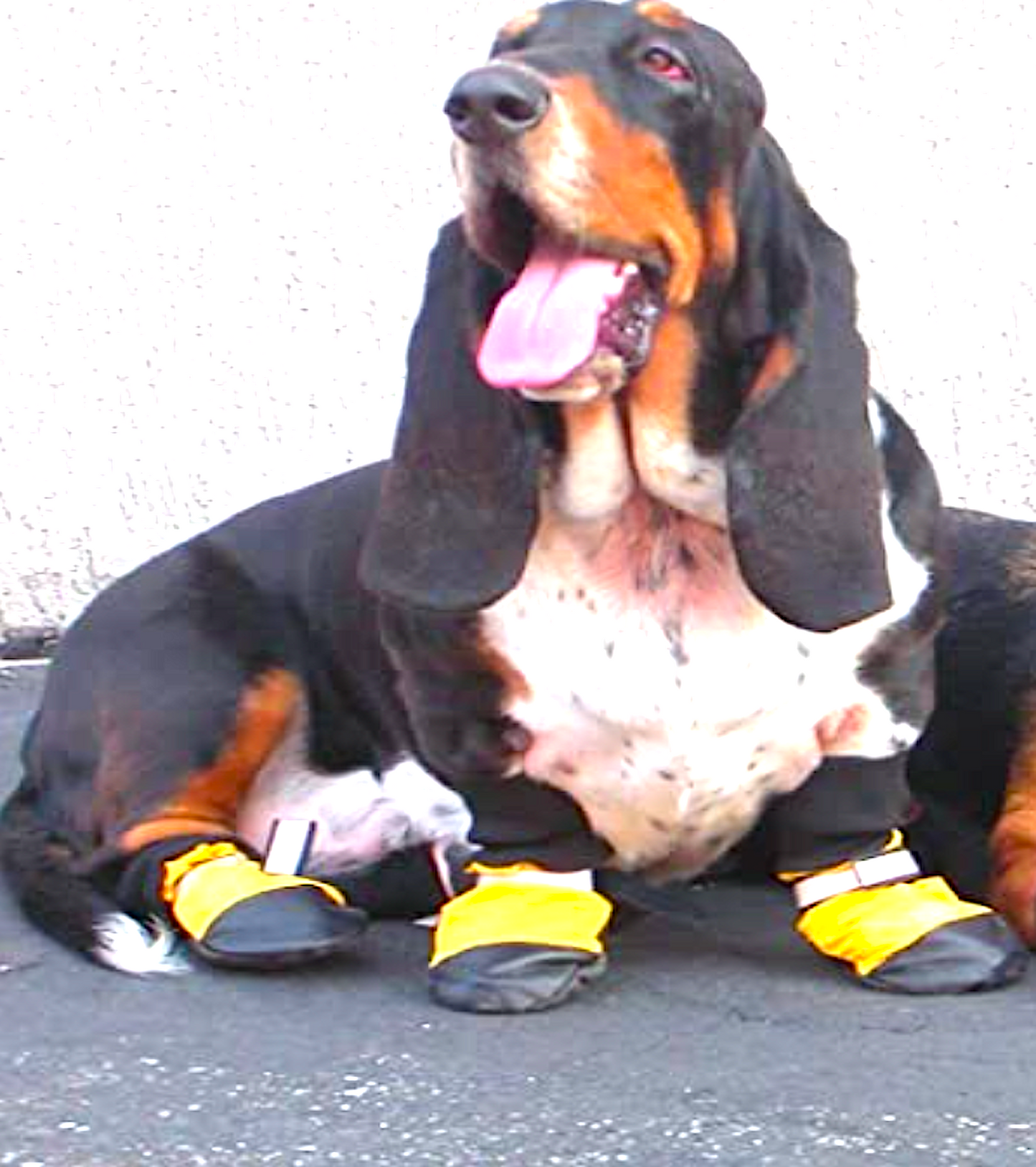 MUTTLUKS: the original all-weather boots