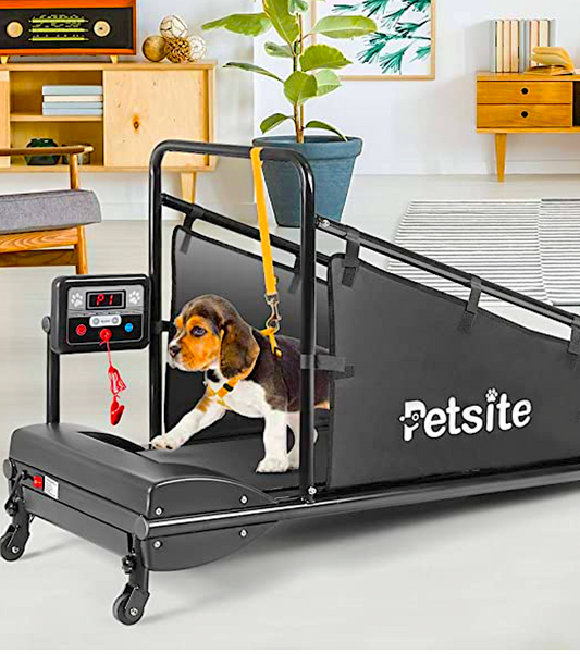 PETSITE TREADMILL: smart, motorized treadmill for small-medium dogs - Vital Vet