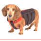WIGGLELESS DOG BACK BRACE: provides stability and pain relief