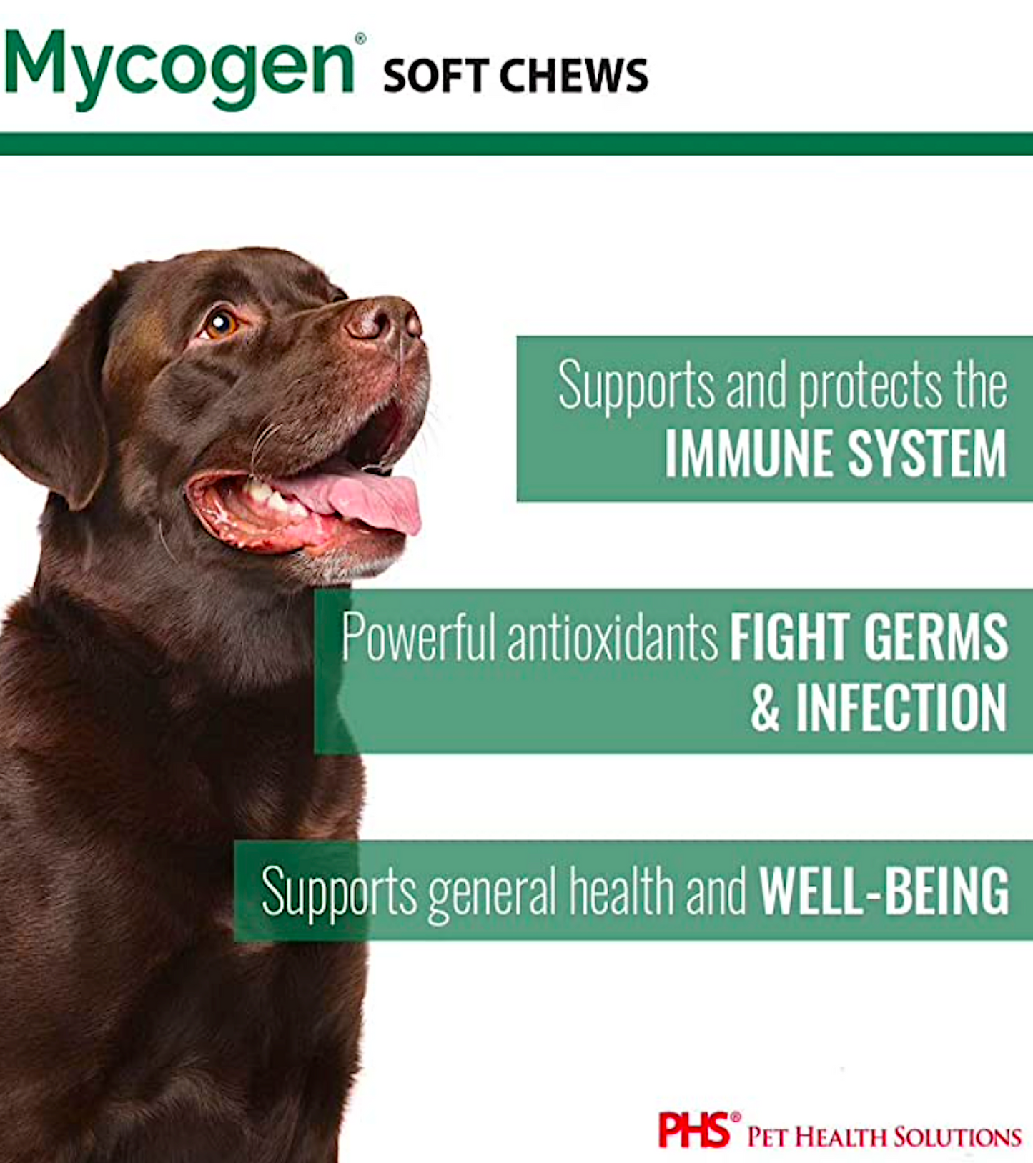 MYCOGEN FOR DOGS: Support Immune System with 8 Types of Mushrooms