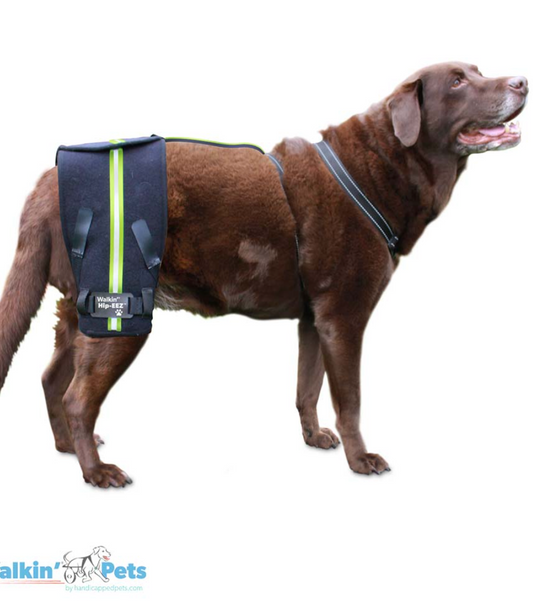 WALKIN' HIP-EEZ SUPPORT SYSTEM: for hip compression and support